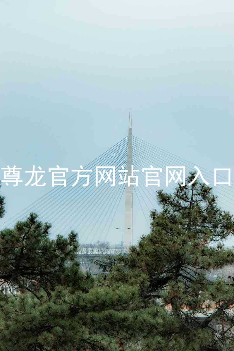 尊龙官方网站官网入口