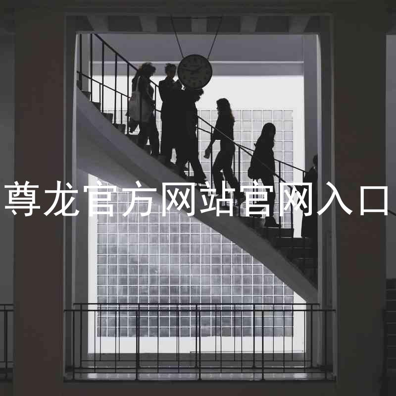 尊龙官方网站官网入口