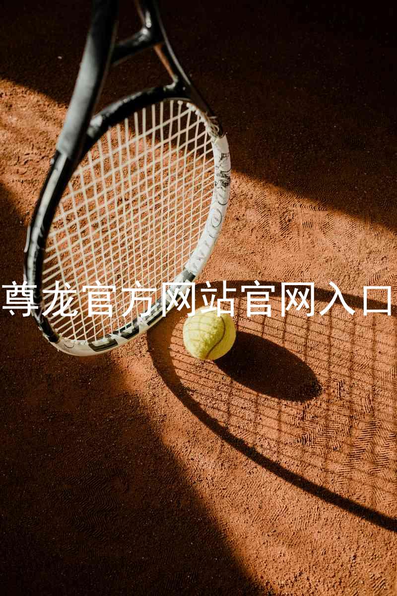 尊龙官方网站官网入口