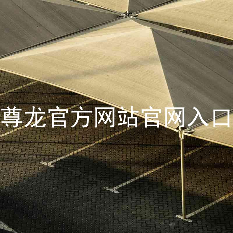 尊龙官方网站官网入口